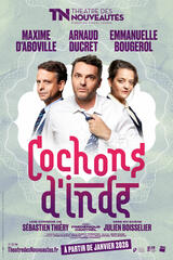 Portrait de Cochons d'Inde